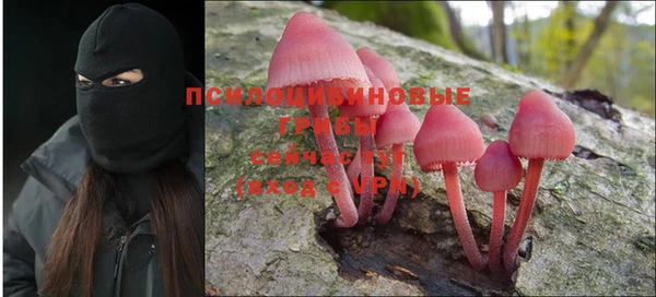 тгк Абдулино