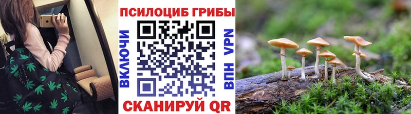 Галлюциногенные грибы Cubensis  купить  цена  Новоалтайск 