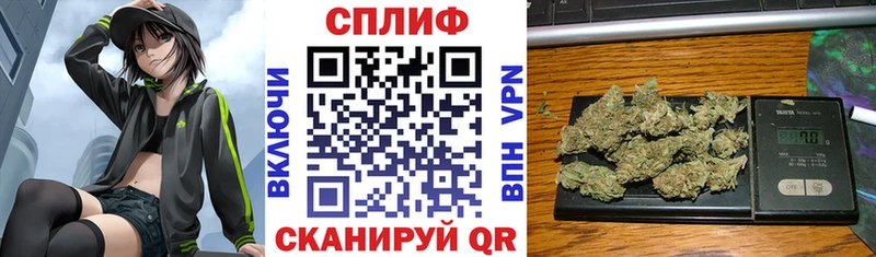 цена   Новоалтайск  OMG как войти  Марихуана SATIVA & INDICA 